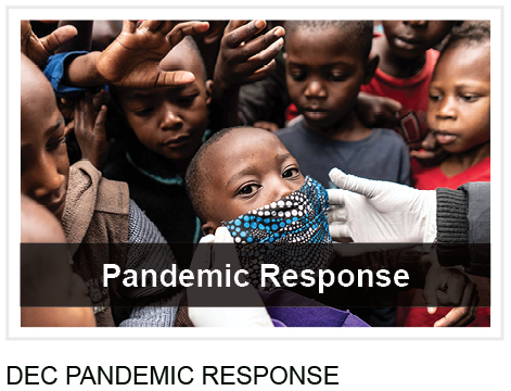 DEC Pandemic Response